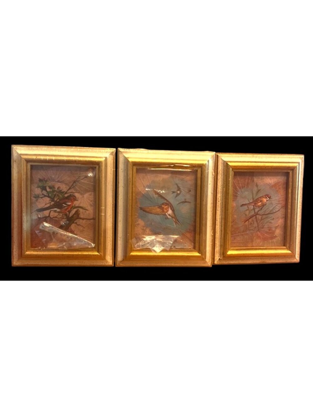 Vtg Gold Gilt Framed Bird Mini Art Prints Set Of 3  Artist Sommal P.